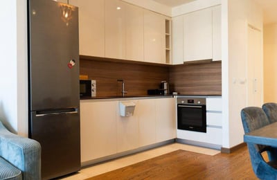 Alquiler de un apartamento amueblado de 3 habitaciones, 82 m², con vista al río, BW Arcadia, Belgrado, Serbia